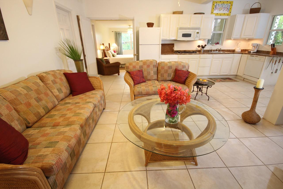 Esencia 2 living room and kitchen